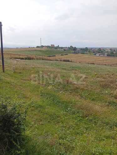 Продаётся  объект 4 500 м², photo 8 from 11