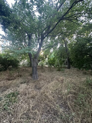 Продаётся  участок 200 сот, пос. Мехтиабад, photo 1 from 3