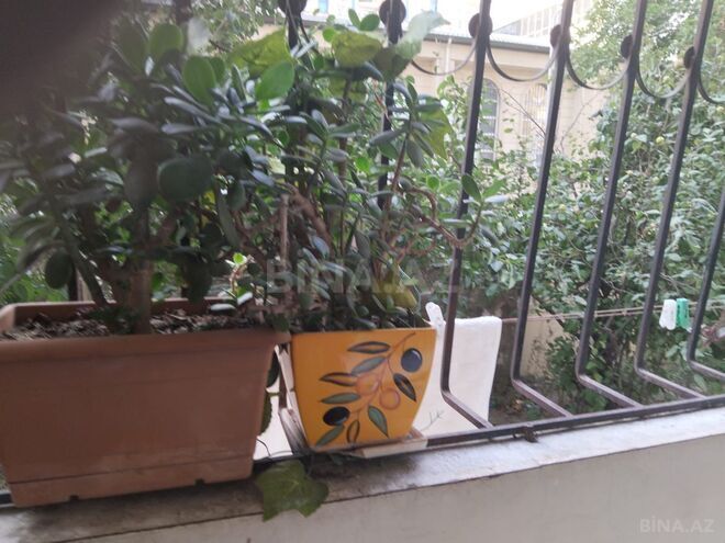 Продаётся 3-комн. новостройка 90 м², м. Шах Исмаил Хатаи, photo 5 from 14