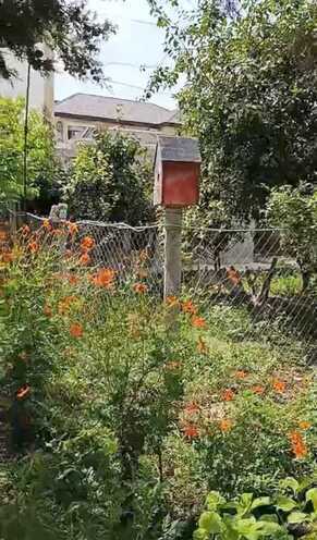 Satılır  torpaq 3 sot, Masazır q., photo 6 from 10