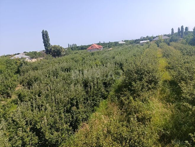 Продаётся  участок 14 сот, photo 3 from 7