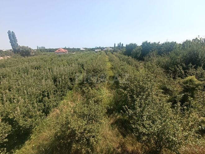 Продаётся  участок 14 сот, photo 4 from 7