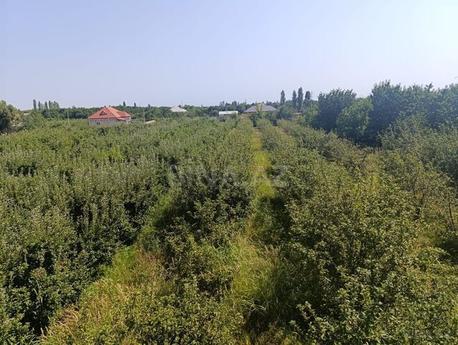 Продаётся  участок 14 сот, photo 1 from 7