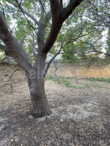 Satılır 3 otaqlı həyət evi/bağ evi 85 m², Novxanı q., photo 17 from 28