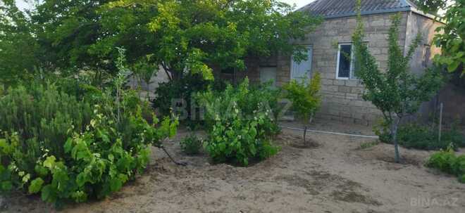 Satılır 2 otaqlı həyət evi/bağ evi 70 m², Qala q., photo 17 from 30