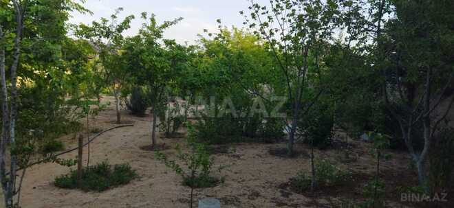 Satılır 2 otaqlı həyət evi/bağ evi 70 m², Qala q., photo 14 from 30