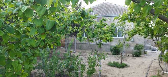 Satılır 2 otaqlı həyət evi/bağ evi 70 m², Qala q., photo 15 from 30