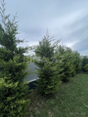 Сдаётся 4-комн. дом/дача 300 м², пос. Шувеляны, photo 24 from 25