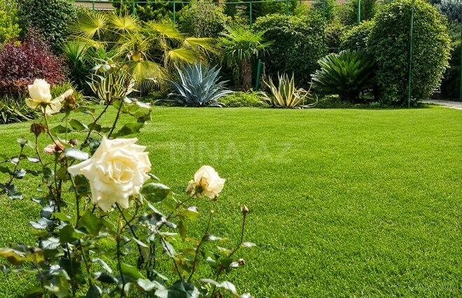 Satılır 7 otaqlı həyət evi/bağ evi 700 m², Badamdar q., photo 21 from 30