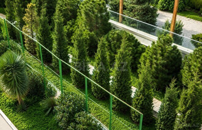 Satılır 7 otaqlı həyət evi/bağ evi 700 m², Badamdar q., photo 11 from 30