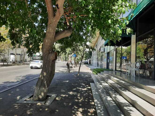 Satılır  obyekt 600 m², Böyükşor q., photo 1 from 11