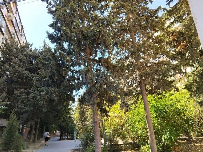 Продаётся 2-комн. вторичка 62 м², пос. Ахмедлы, photo 17 from 19
