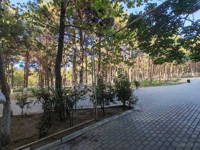 Сдаётся  объект 23 м², Абшеронcкий  р., photo 6 from 7