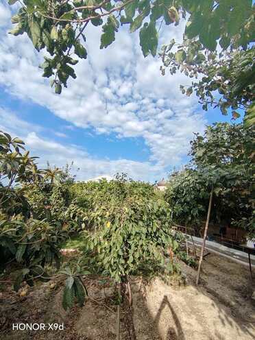 Satılır 3 otaqlı həyət evi/bağ evi 80 m², Masazır q., photo 7 from 24