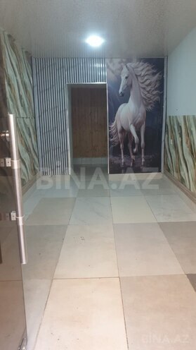 Сдаётся  объект 26 м², м. Низами, photo 4 from 10