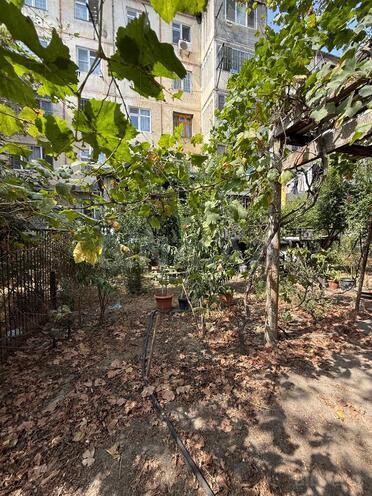 Продаётся 5-комн. вторичка 100 м², м. Халглар Достлугу, photo 20 from 23