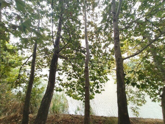 Продаётся  объект 220 м², м. Элмляр Академиясы, photo 7 from 21