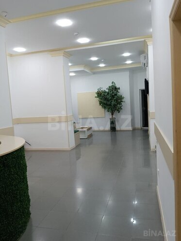 Сдаётся 20-комн. офис 500 м², м. Элмляр Академиясы, photo 4 from 16