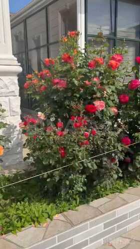 Satılır 15 otaqlı həyət evi/bağ evi 700 m², Nəsimi m., photo 5 from 17
