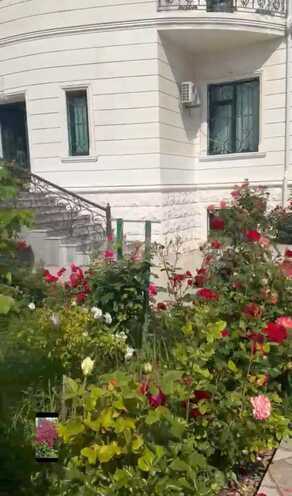 Satılır 15 otaqlı həyət evi/bağ evi 700 m², Nəsimi m., photo 15 from 17