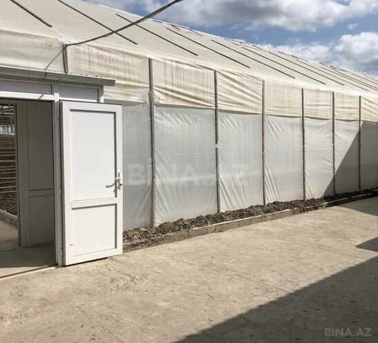 Satılır  obyekt 50 000 m², Binə q., photo 3 from 6
