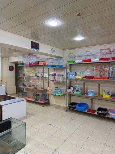 Продается  объект 140 м², м. Иншаатчылар, photo 7 from 9