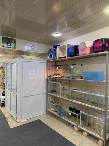Продается  объект 140 м², м. Иншаатчылар, photo 6 from 9