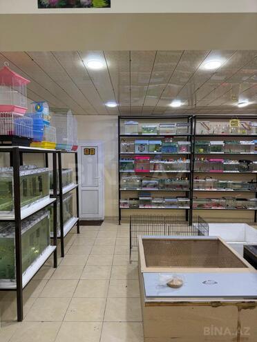 Продается  объект 140 м², м. Иншаатчылар, photo 5 from 9