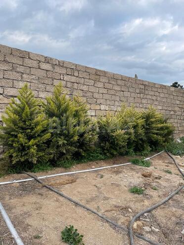 Satılır 6 otaqlı həyət evi/bağ evi 220 m², Dübəndi q., photo 27 from 32