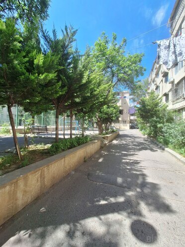 Satılır 1 otaqlı köhnə tikili 35 m², İnşaatçılar m., photo 12 from 13
