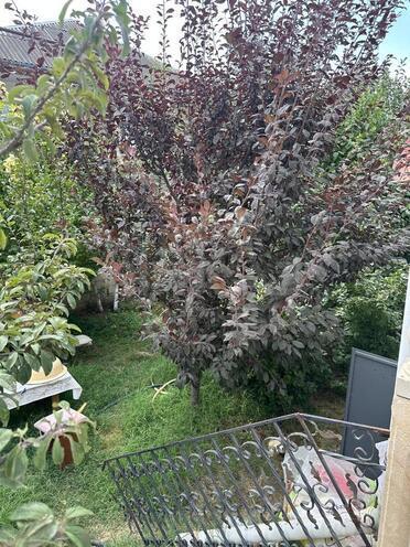 Satılır 5 otaqlı həyət evi/bağ evi 160 m², Mehdiabad q., photo 10 from 23