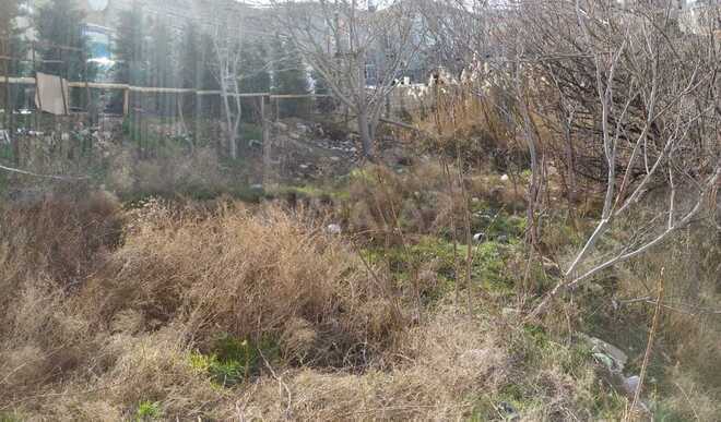 Продаётся  участок 9.6 сот, пос. Бадамдар, photo 4 from 12