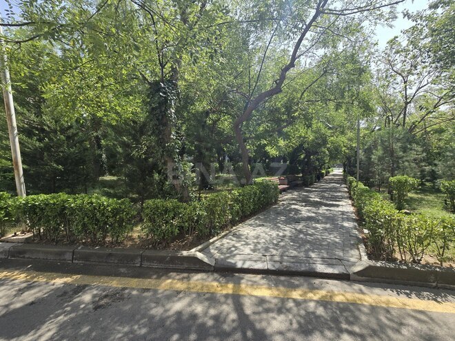 Сдаётся 3-комн. вторичка 65 м², м. Ази Асланов, photo 5 from 13