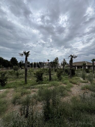Satılır  obyekt 1 250 m², Novxanı q., photo 17 from 32
