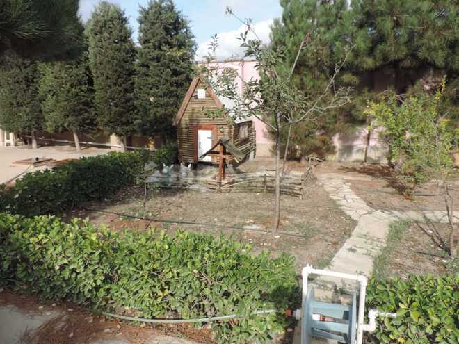 Продаётся 4-комн. дом/дача 130 м², пос. Гала, photo 29 from 30
