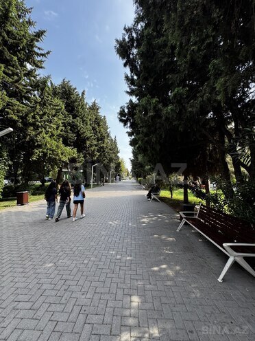 İcarəyə verilir  obyekt 270 m², Gənclik m., photo 18 from 22