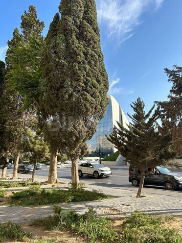 İcarəyə verilir 4 otaqlı ofis 80 m², Nəriman Nərimanov m., photo 13 from 17