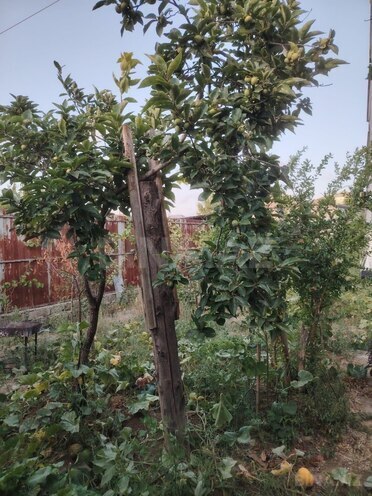 Продаётся 4-комн. дом/дача 122 м², пос. Карачухур, photo 20 from 21