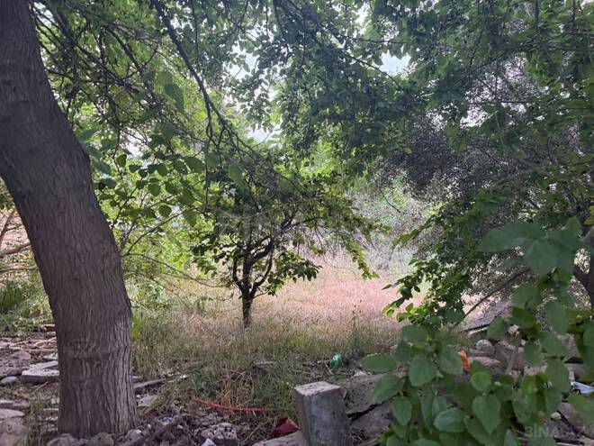 Satılır  torpaq 15.9 sot, Masazır q., photo 4 from 8