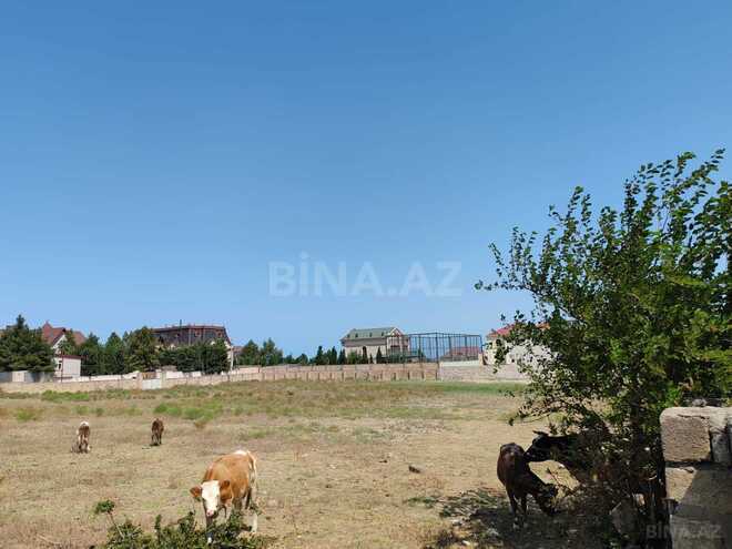Satılır  torpaq 40 sot, Abşeron r., photo 14 from 15