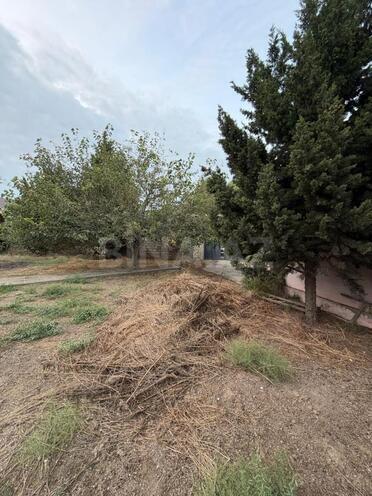 Satılır  torpaq 6 sot, Şağan q., photo 1 from 10