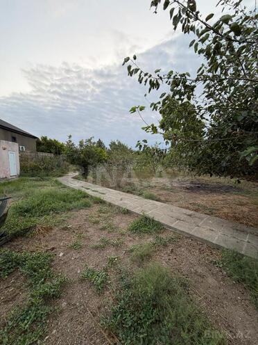 Satılır  torpaq 6 sot, Şağan q., photo 4 from 10