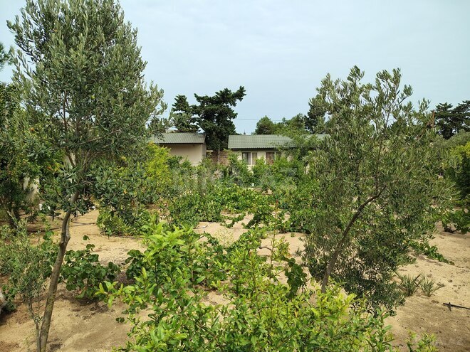Продается 7-комн. дом/дача 170 м², пос. Нардаран, photo 8 from 26