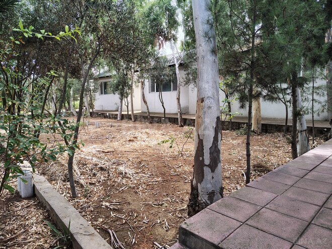 Продается 7-комн. дом/дача 170 м², пос. Нардаран, photo 19 from 26