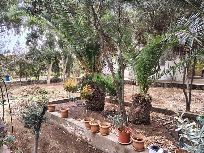 Продается 7-комн. дом/дача 170 м², пос. Нардаран, photo 3 from 26