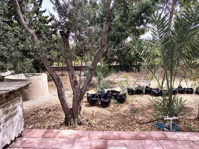 Продается 7-комн. дом/дача 170 м², пос. Нардаран, photo 24 from 26