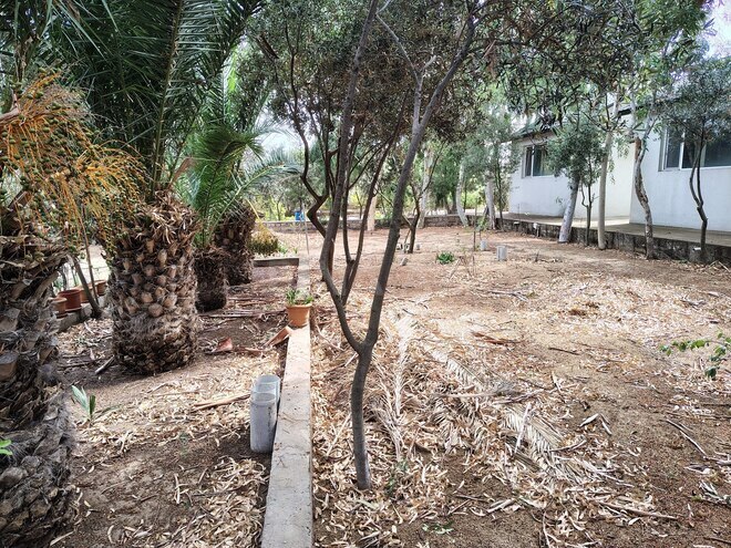 Продается 7-комн. дом/дача 170 м², пос. Нардаран, photo 20 from 26