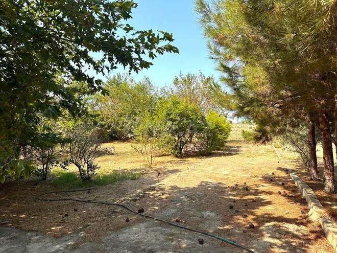 Satılır  torpaq 50 sot, Pirşağı q., photo 4 from 16