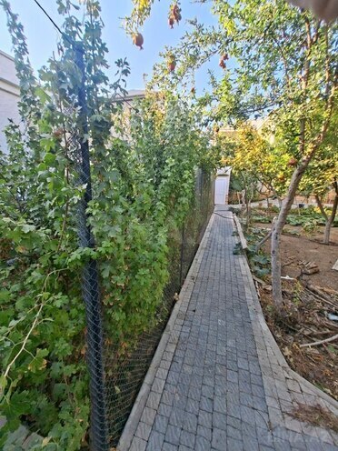 Продаётся 10-комн. дом/дача 361 м², м. Ахмедлы, photo 26 from 27