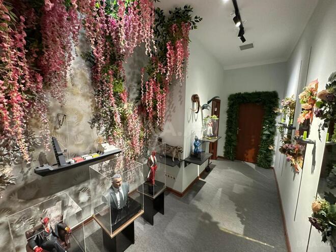 Сдаётся 3-комн. офис 85 м², м. Нариман Нариманов, photo 10 from 16